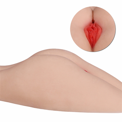 Heißer Verkaufs-u. der hohen Qualität sexy Esel und Vagina-Spielwaren-großer sexy Esel und fetter großer Esel der Vagina-3d mit festem Pussy
