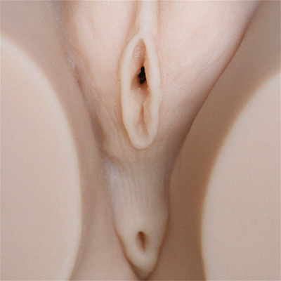 Brust-Esels-Vagina-Masturbation wirkliches lebensechtes Silikon-Toy Hot Selling Half Bodys große für Mann-Mann