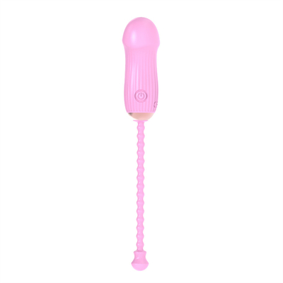 Realistischer drahtloser Fernbedienung Vibrator 12 Geschwindigkeitsmodus Sexspielzeug Dildo für Frauen Paar Erwachsener