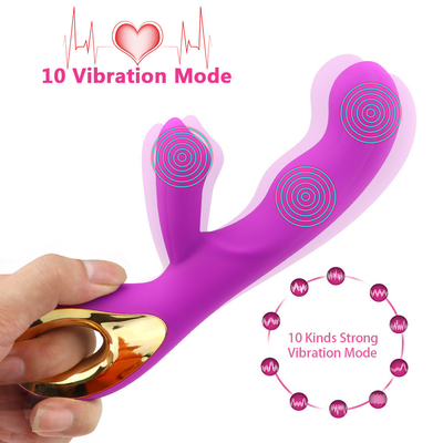 10 Geschwindigkeiten Wiederaufladbarer Klitorisstimulator Erwachsener Intimität Erwachsenes Sexspielzeug Für Frauen