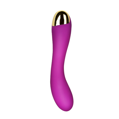 10 Geschwindigkeiten Dildo Vibrator USB Wiederaufladbar G-Punkt Vibrator Klitoris Massage für Frauen