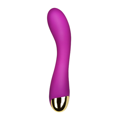 10 Geschwindigkeiten Dildo Vibrator USB Wiederaufladbar G-Punkt Vibrator Klitoris Massage für Frauen