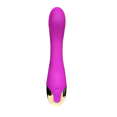 10 Geschwindigkeiten Dildo Vibrator USB Wiederaufladbar G-Punkt Vibrator Klitoris Massage für Frauen