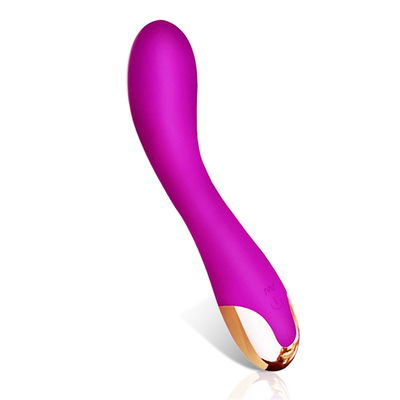 10 Geschwindigkeiten Dildo Vibrator USB Wiederaufladbar G-Punkt Vibrator Klitoris Massage für Frauen