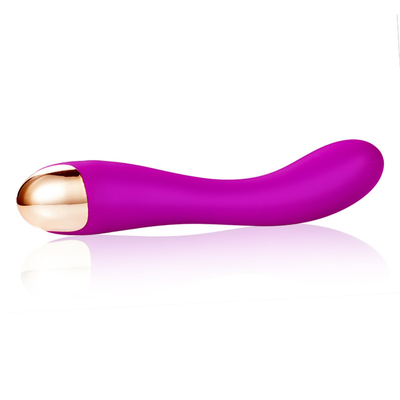 10 Geschwindigkeiten Dildo Vibrator USB Wiederaufladbar G-Punkt Vibrator Klitoris Massage für Frauen