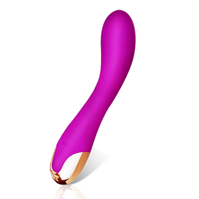 10 Geschwindigkeiten Dildo Vibrator USB Wiederaufladbar G-Punkt Vibrator Klitoris Massage für Frauen