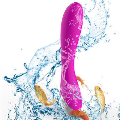 10 Geschwindigkeiten Medizinisches Silikon Wiederaufladbares Sexspielzeug Frauen Vibrator